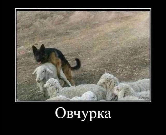 Народная меДИЧина 5023