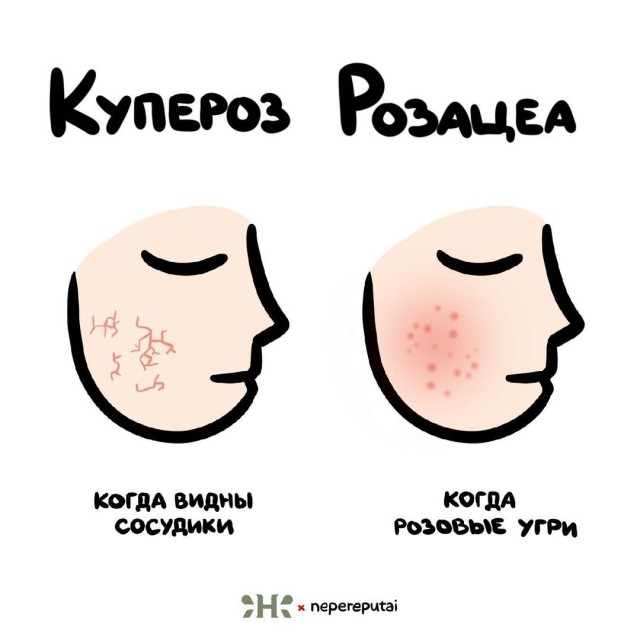 Смотри, Кутузов, не перепутай...