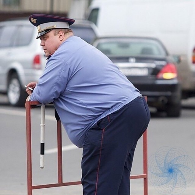 Проверка на дорогах