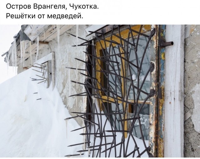 Весёлый полтишок 21.03.23