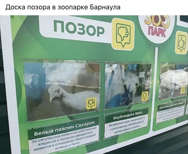 Так себе картинки 26.03.23
