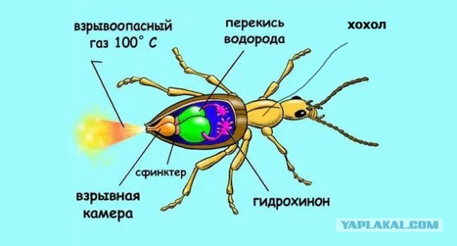 Киев направил ноты протеста ЕС и Польше.