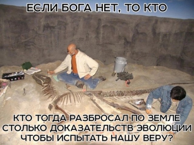 Нестандартный пост в пятницу