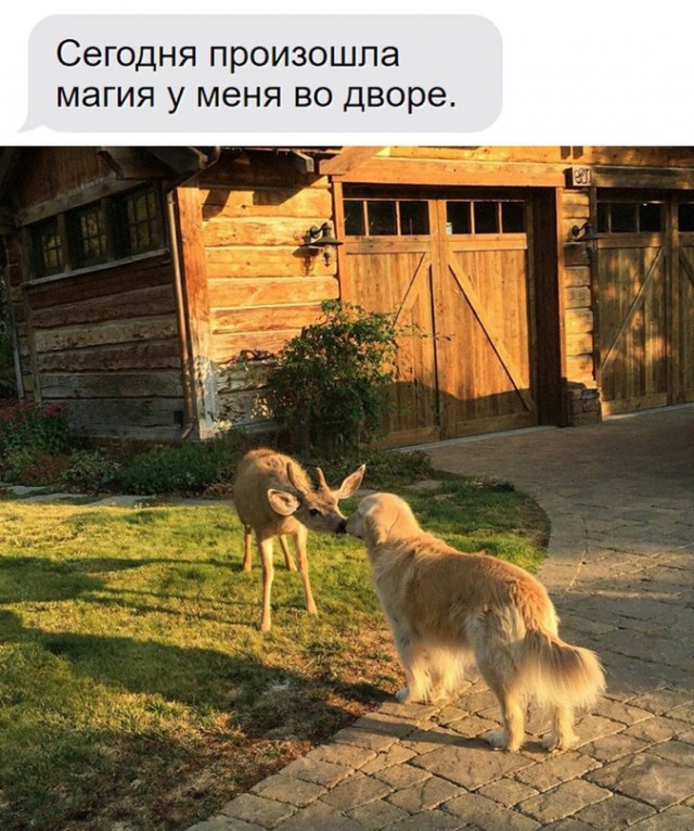 Картинки и мемы для настроения - 181
