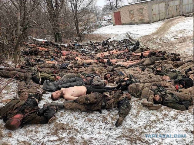 Растерзанным акулой в Хургаде оказался 23-летний Владимир Попов из Архангельской области