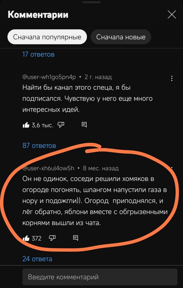 Радостная находка