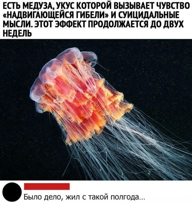 Скриншоты и комментарии из социальных сетей 02.08.23