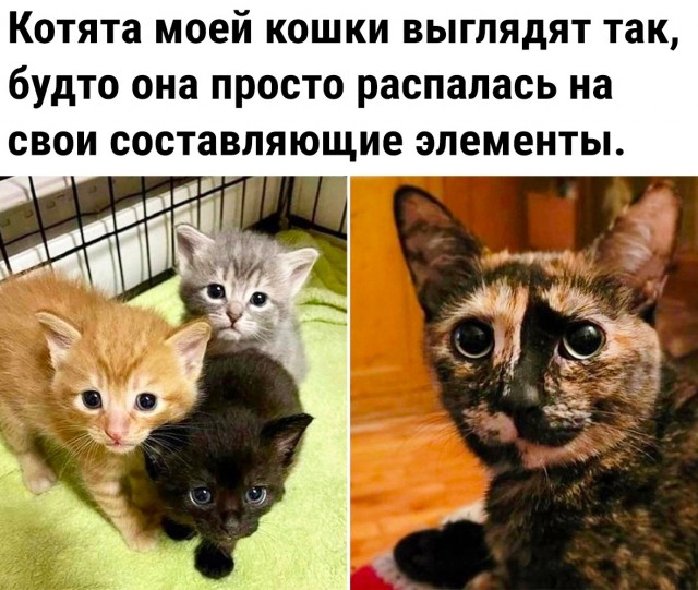 Так себе картинки 05.08.23