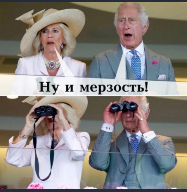 Голые женщины среди подсолнухов затерроризировали семейную ферму