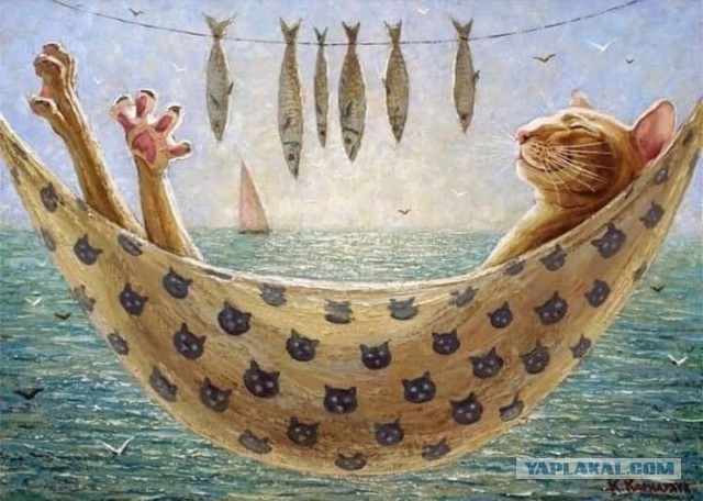 Как быть мужьям, чьи жены - "непьющие алкоголички"?⁠⁠