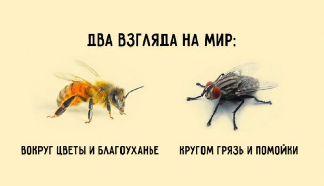 Красивое