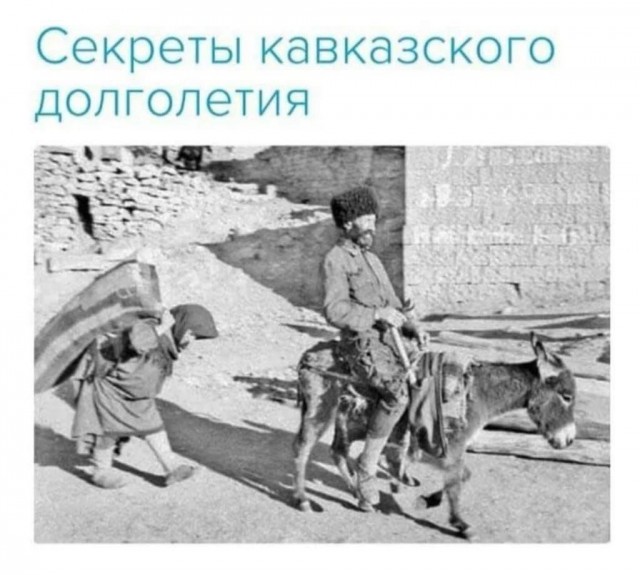 Разножанровые картинки. Без определённого смысла