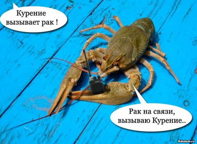 Всех с ПЯТНИЦЕЙ!!!