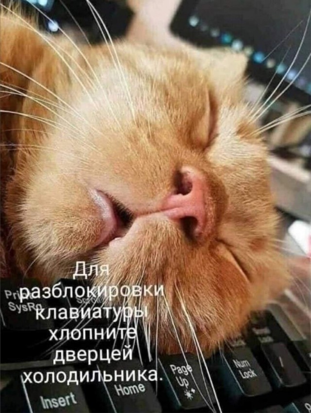 Ахтунг! Баянинг!