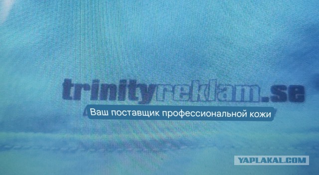 Мой каминг-аут