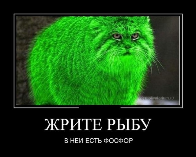 Сборник бабаянов или неожиданная помойка.