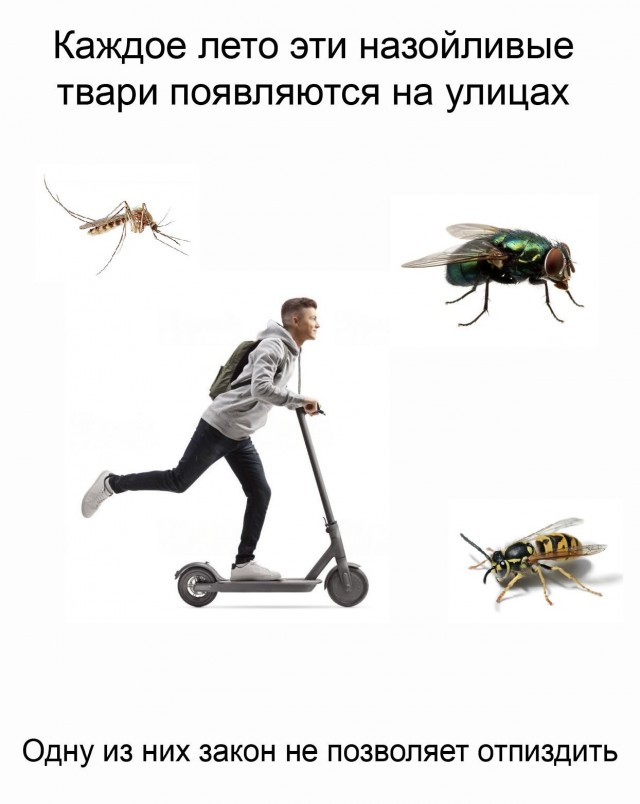 Снова о самокатчиках