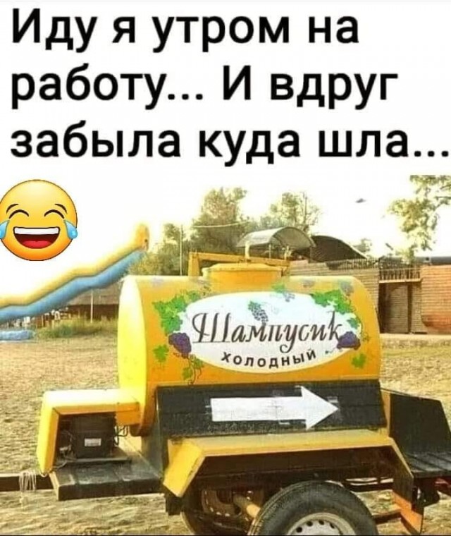 Так себе картинки 17.09.24