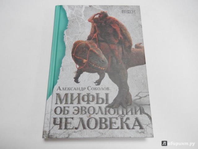 В РПЦ поддержали идею исключить теорию Дарвина из школьной программы