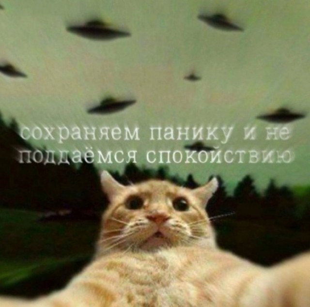 Давайте опубликуем