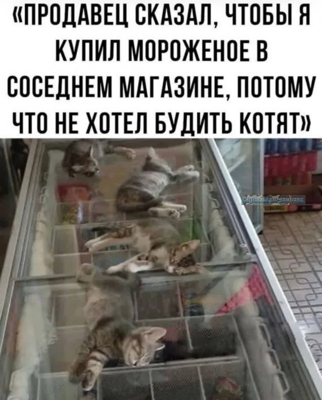 Всего понемногу. От 21.11.2024.