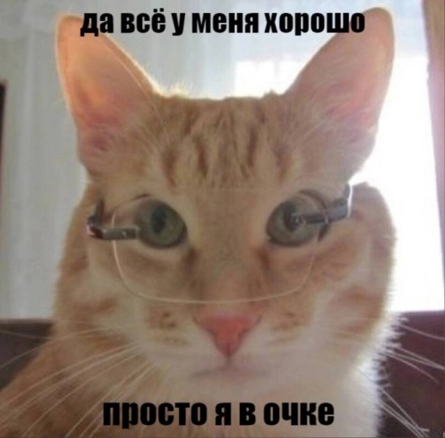 Шрус на вишнёвой поляне
