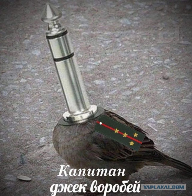 «Лучший капитан»