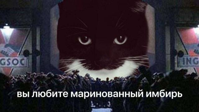 Нуштош 26.03.2025. В один из дымных дней (s3e9)