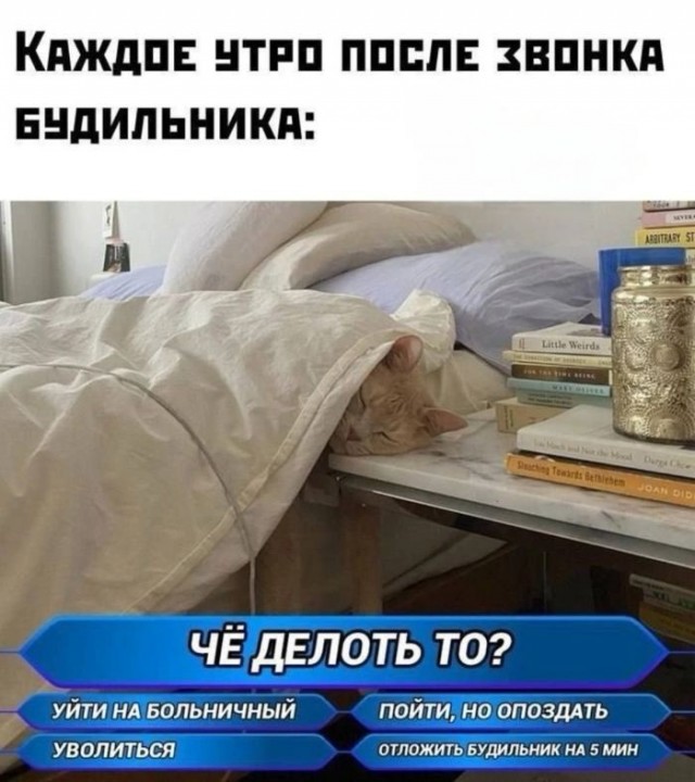 Завалялось тут случайно немного забавных картинок