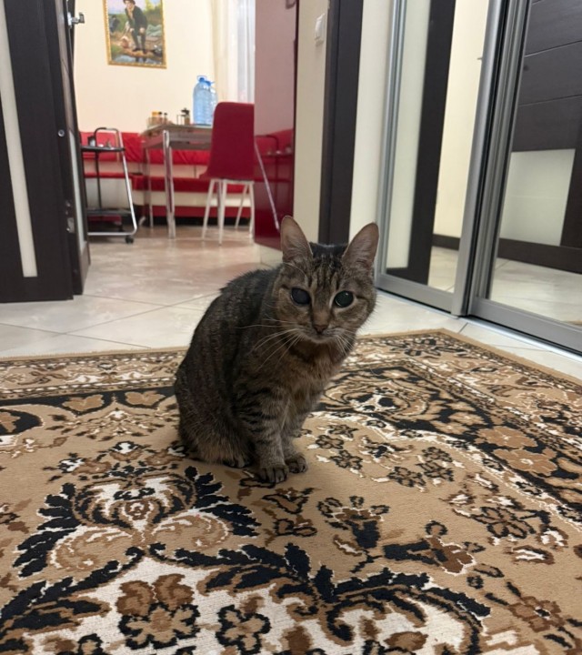 Нужна помощь