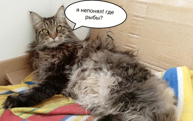 Ни дня без ЯПа