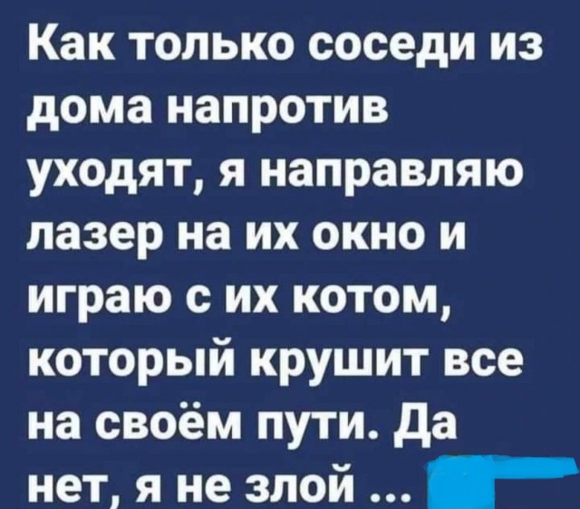 Так себе картинки 22.07.25
