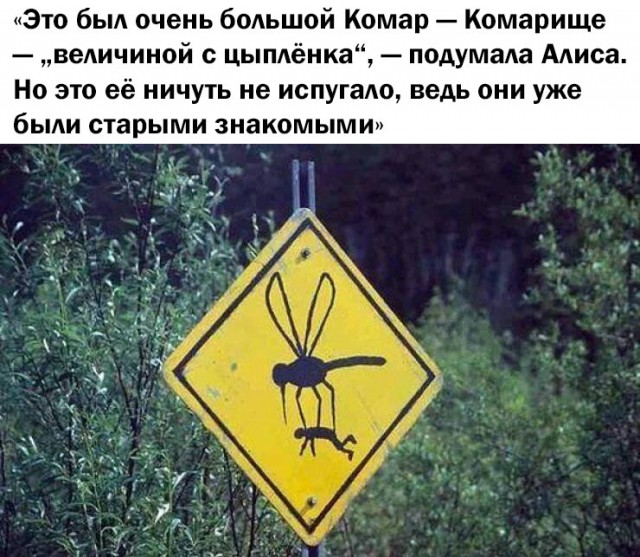 Эффективное средство от комаров обнаружили в Сети — это зажимы в виде стрекоз.