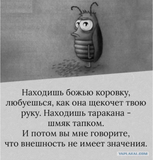 Жители столицы радикально подошли к борьбе с тараканами и едва не погибли.