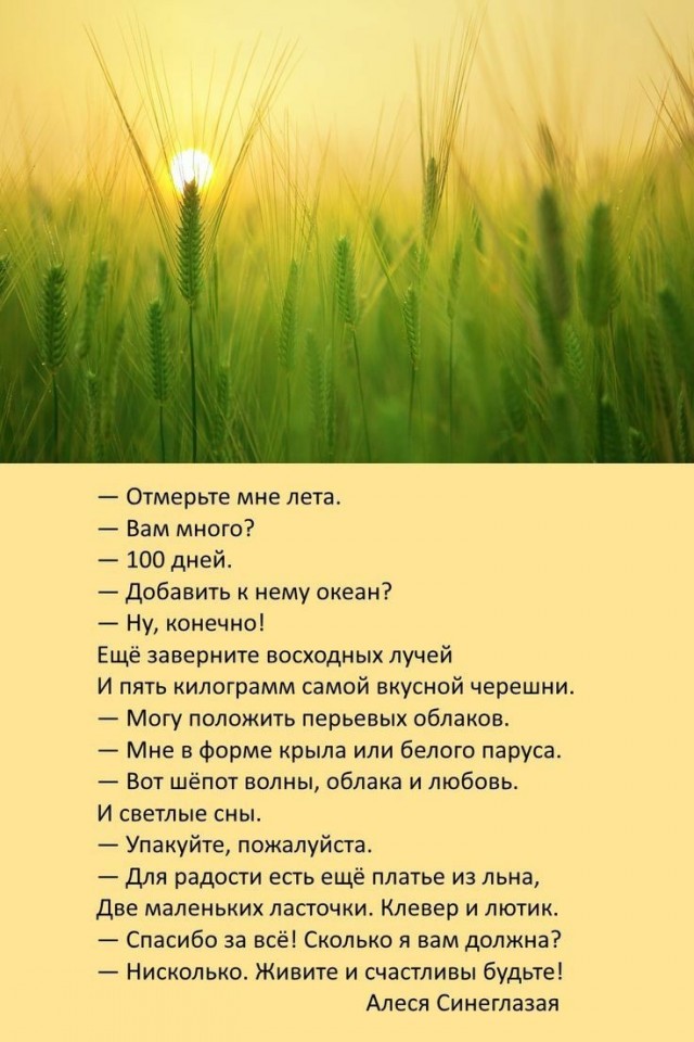 Куча мала 11