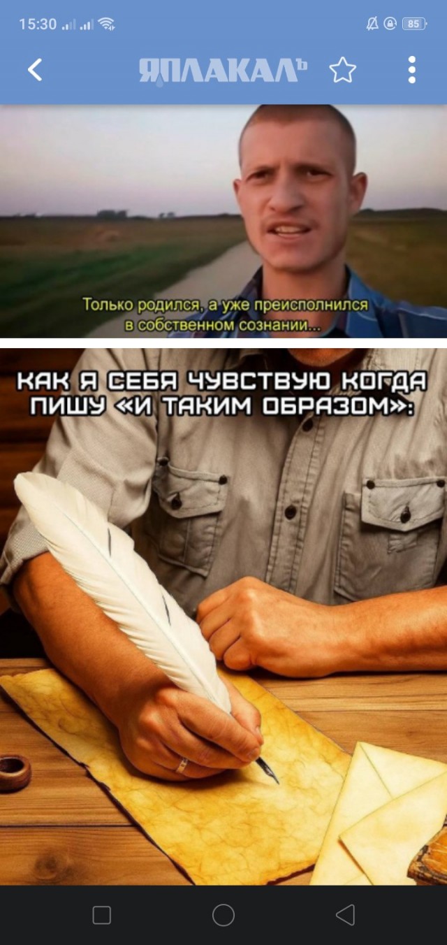Весёлый полтишок 11.12.25