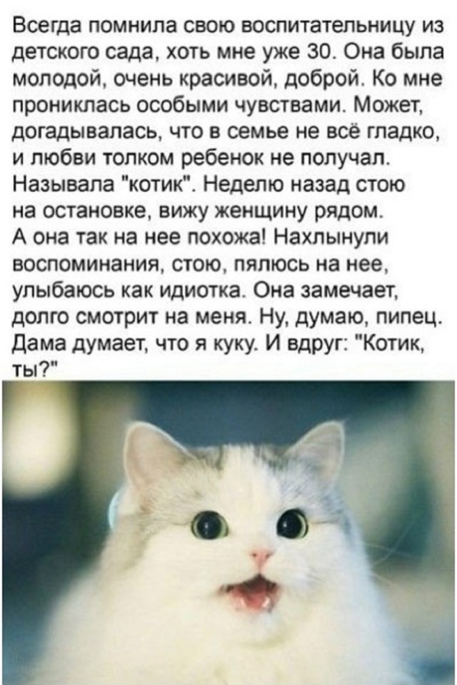 Так себе картинки 29.12.25