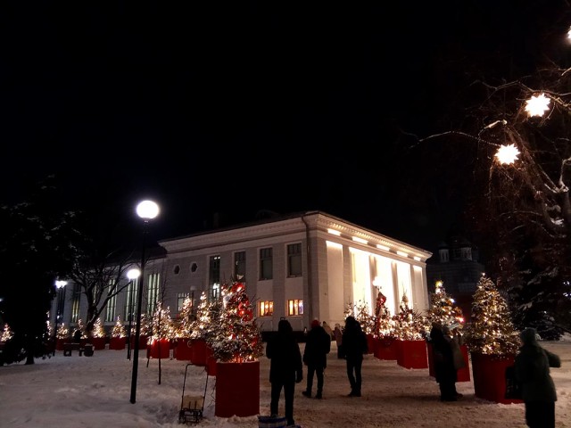 Псков Новогодний