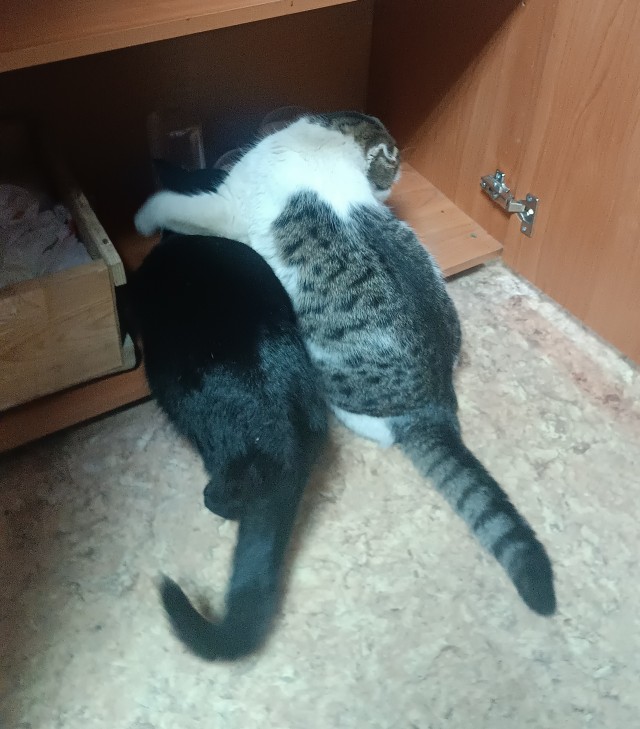 Чот накОтило.