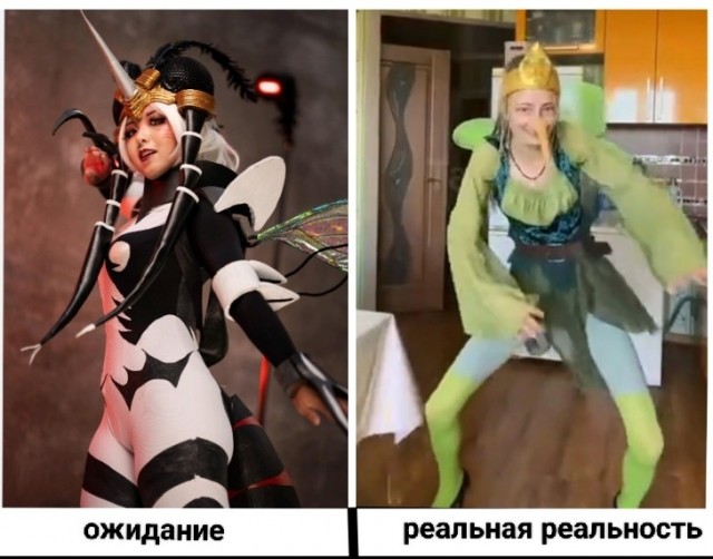 Вот так выглядит самка комара
