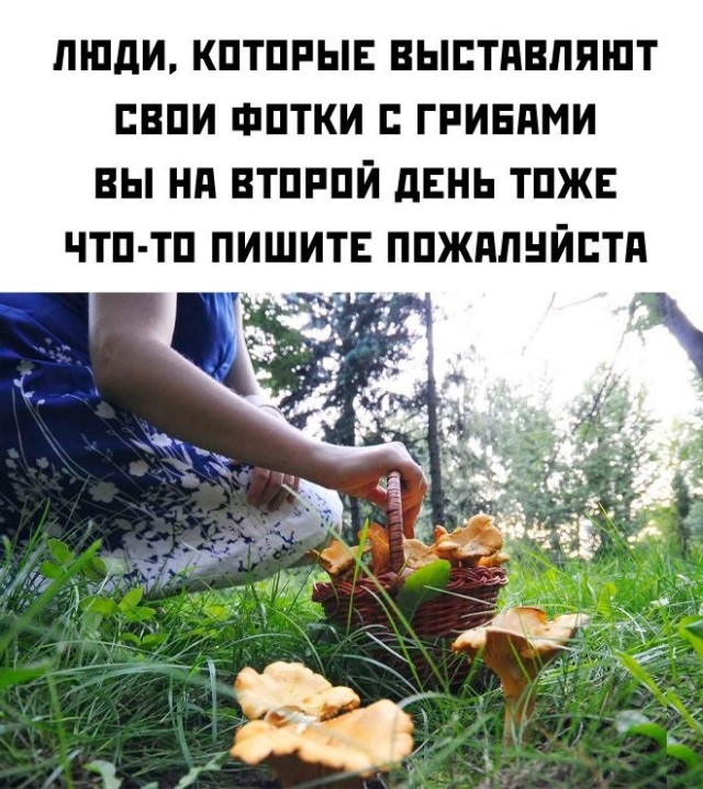Картинки для настроения