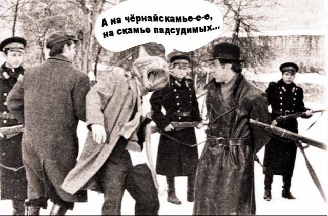 Кота-наркокурьера задержали у колонии в Нижегородской области
