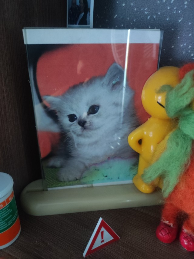 Родословная.