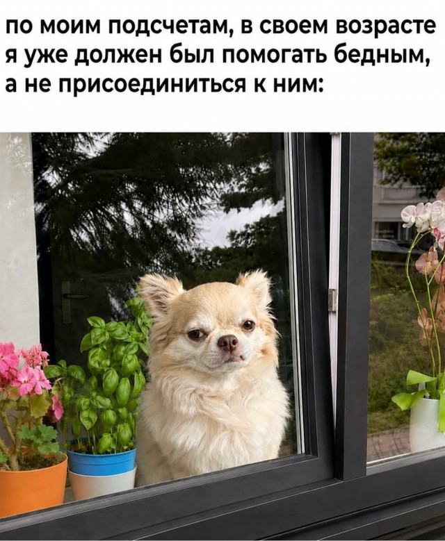 Веселое настроение в картинках 18.08.26