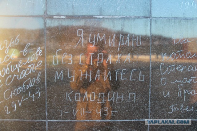 Высота 258,3  "Долина Смерти"