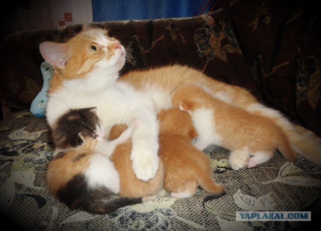 В ночь с 28 февраля на 1 марта. Без предупреждения