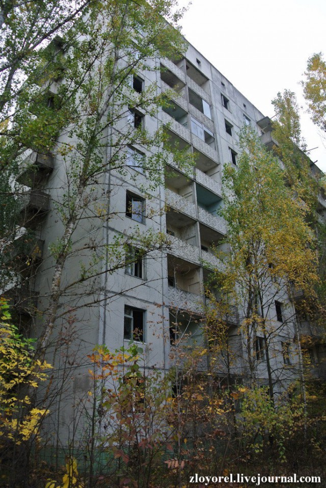 Чернобыльская Зона Отчуждения