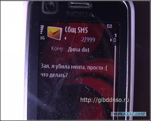 Правда про зайцев