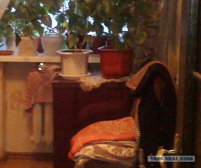 Котовторник 6.05.2014