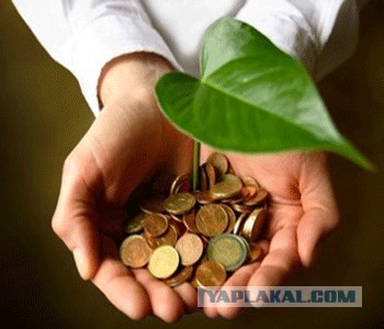 Когда вы плюсуeтe тему в платине